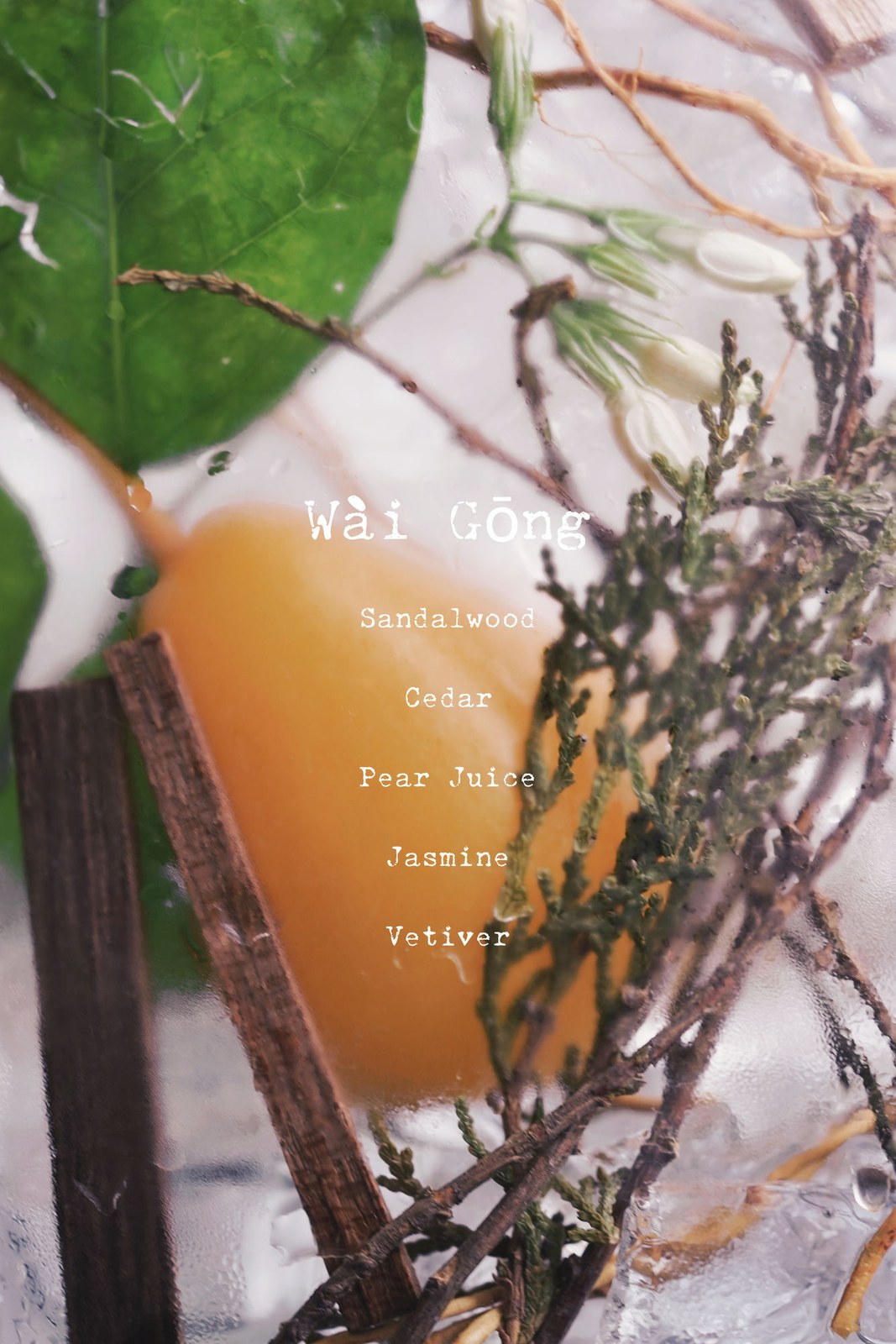 WAI GONG